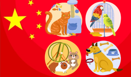 Most Popular Pets in China