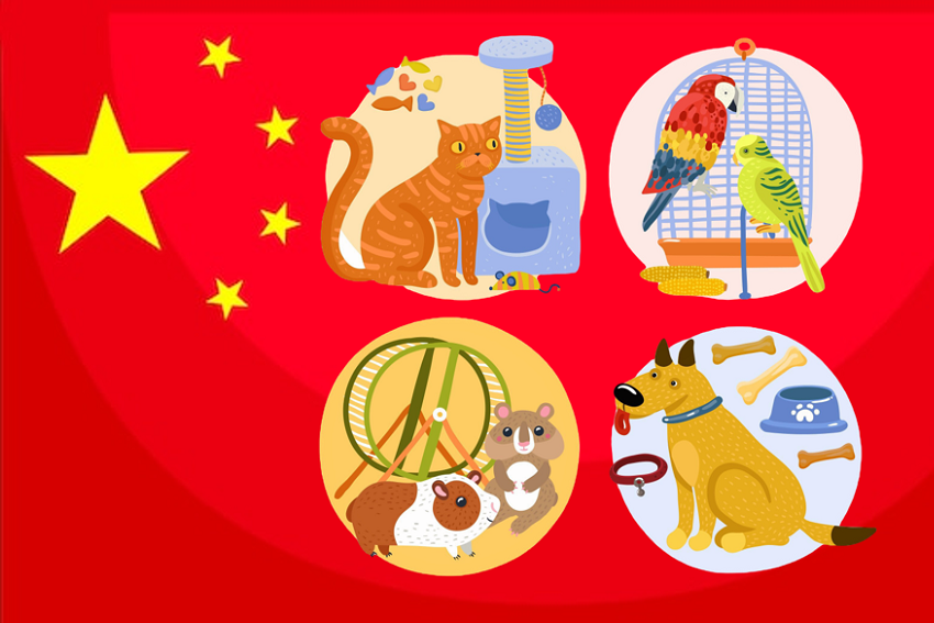 Most Popular Pets in China