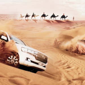 Desert Safari Camping Sites in Abu Dhabi